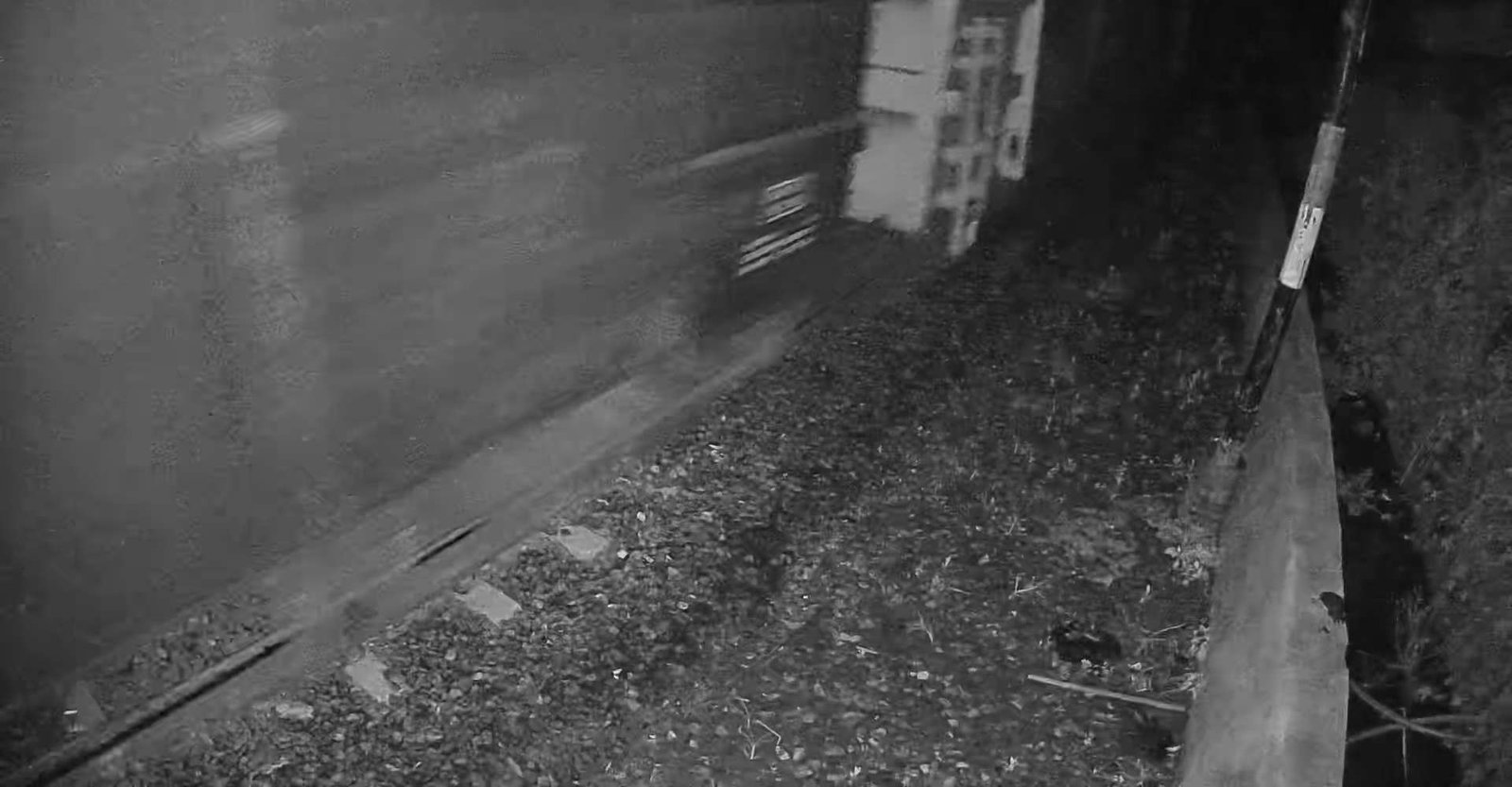 2026-05-05 21:55:29.jpg